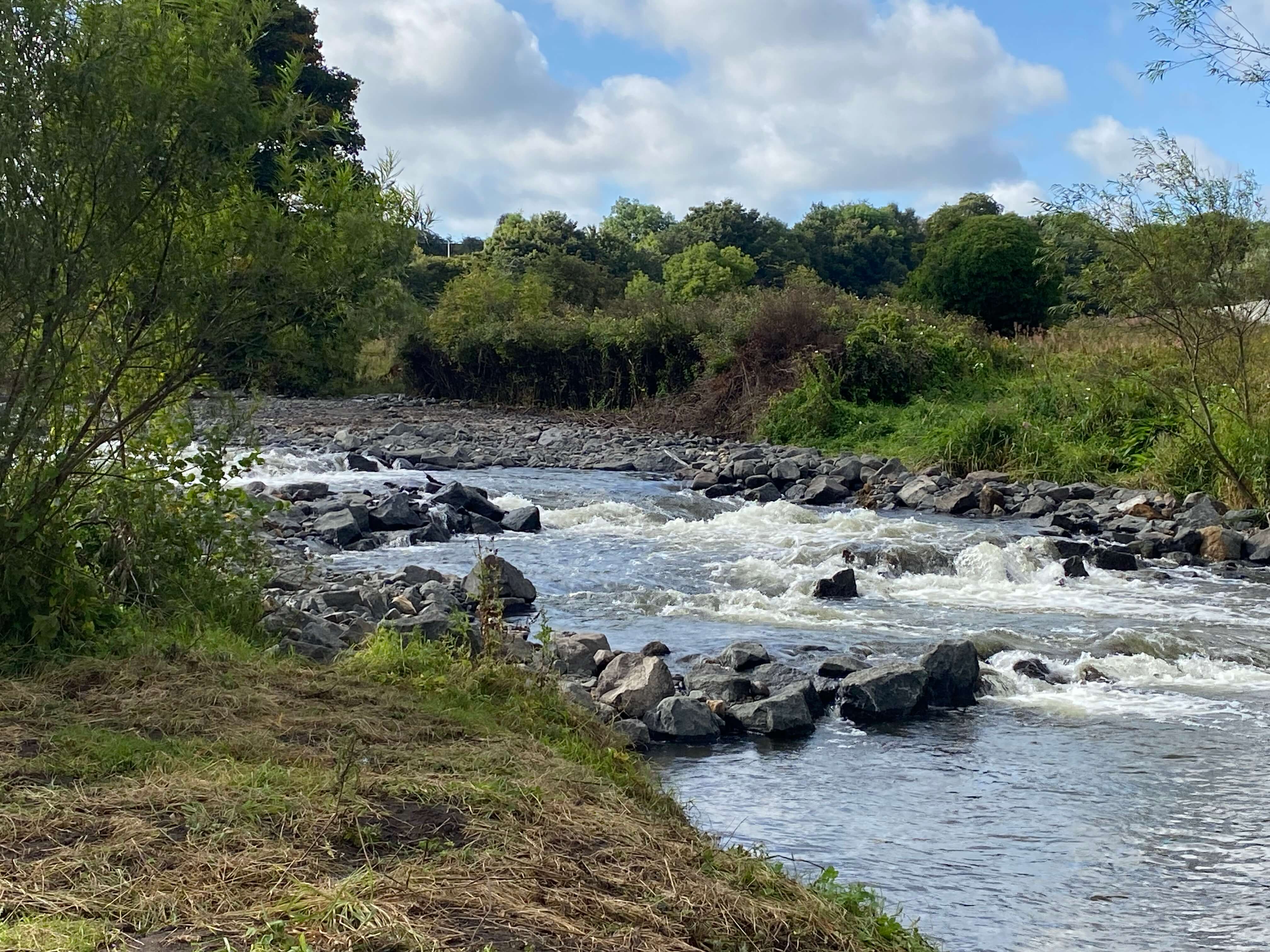 Restoring the River Leven progress update | Fife Council