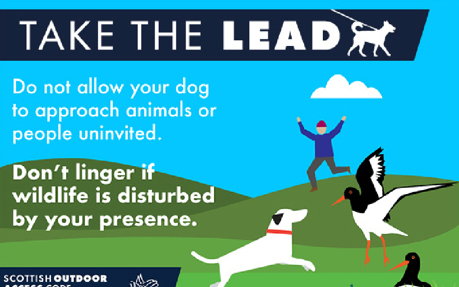 A poster reading: Take the Lead, Do not allow your dog to approach animals or people uninvited. Don't linger if wildlife is disturbed by your presence.